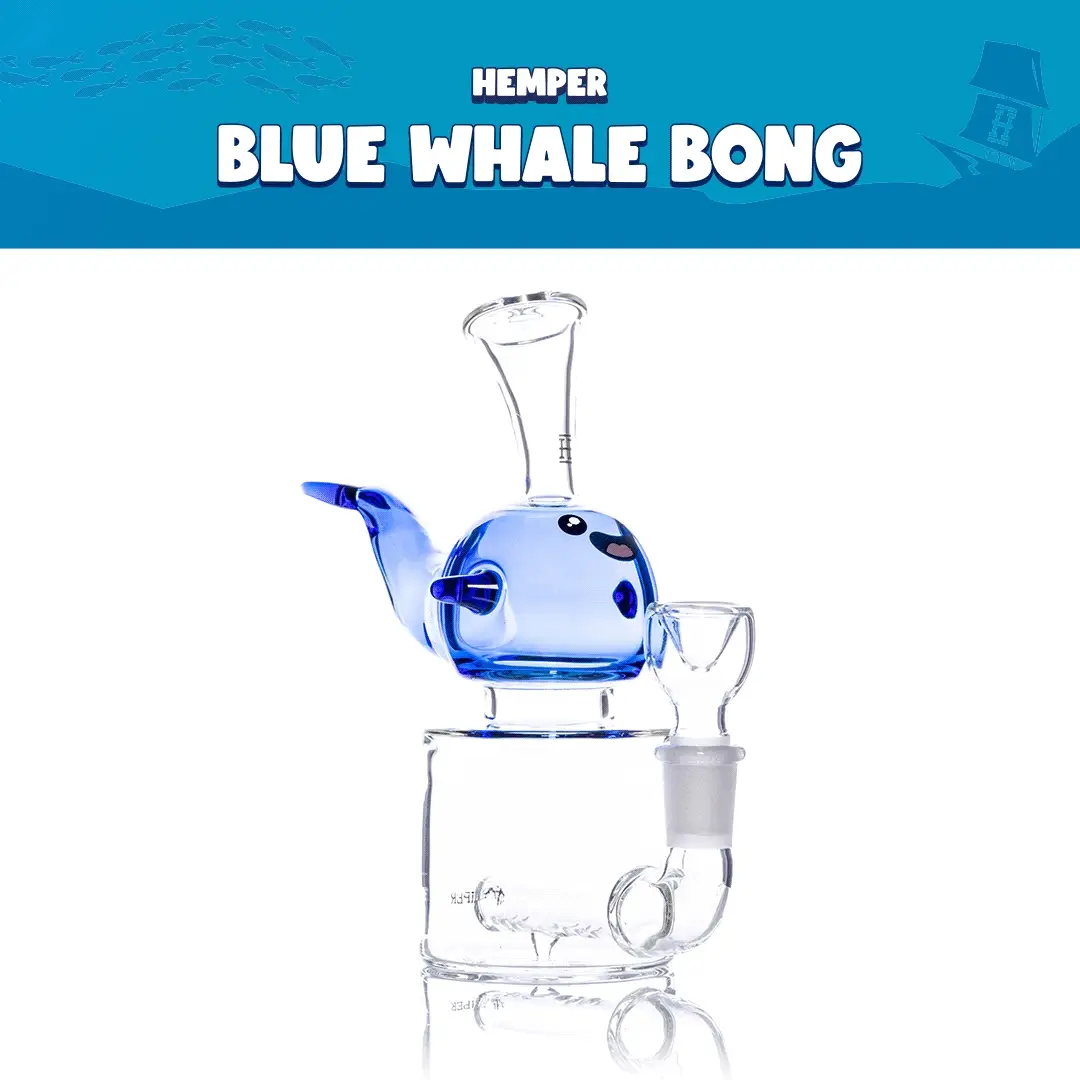 Blue Whale Bong Box - Image 2
